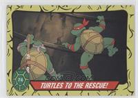 Turtles To The Rescue!