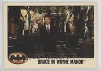 Bruce in Wayne Manor