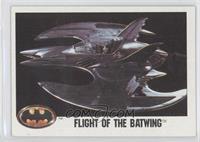 Flight of the Batwing