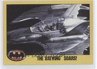 The Batwing Soars!