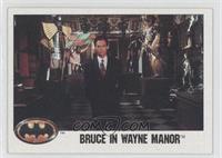 Bruce in Wayne Manor