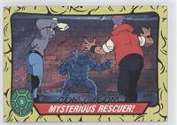 Mysterious Rescuer!