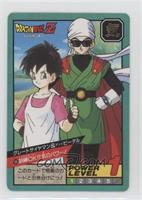 1995 - Great Saiyaman, Videl