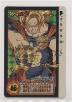 1994 - Goku, Gohan and Goten