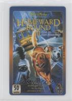 Homeward Bound II