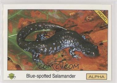1991 Acorn Biosphere Promo Set - [Base] - Blue Back #10 - Blue-spotted Salamander