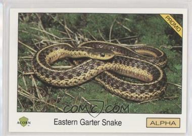 1991 Acorn Biosphere Promo Set - [Base] - Blue Back #105 - Eastern Garter Snake