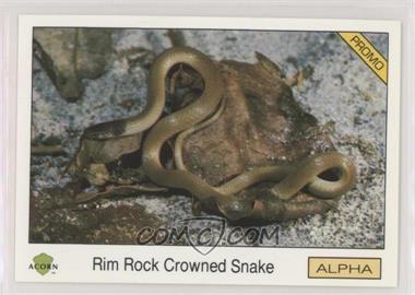 1991 Acorn Biosphere Promo Set - [Base] - Blue Back #15 - Rim Rock Crowned Snake