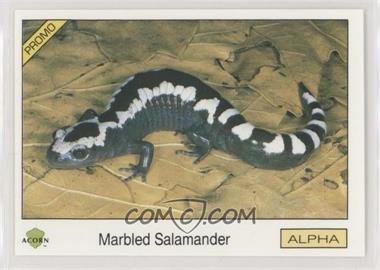 1991 Acorn Biosphere Promo Set - [Base] - Blue Back #30 - Marbled Salamander