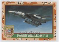 Phoenix Missiles on F-14