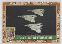 F-14 Flies In Formation (Yellow 