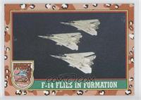 F-14 Flies In Formation (Brown 
