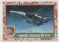 Phoenix Missiles On F-14 (Brown 