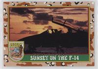 Sunset on the F-14 (Yellow 