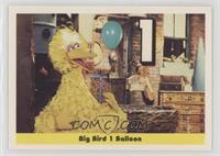 Big Bird 1 Balloon