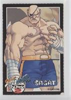 Sagat [Good to VG‑EX]