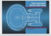 Ship Schematic Dorsal Plan View