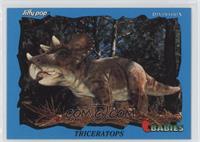 Babies - Triceratops