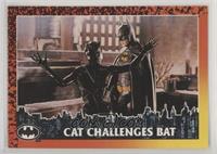 Cat Challenges Bat
