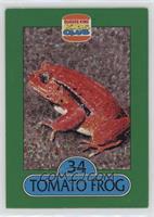 Tomato Frog [EX to NM]