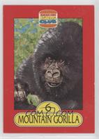 Mountain Gorilla [EX to NM]