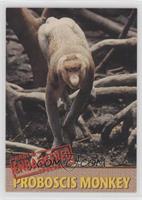 Proboscis Monkey #/5,000
