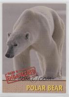 Polar Bear #/5,000