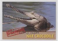 Nile Crocodile #/5,000