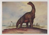 Brachiosaurus Juvenile