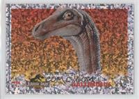 Gallimimus [EX to NM]