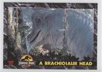 A Brachiosaur Head