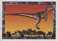 Velociraptor Statistics
