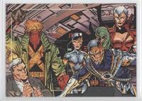 WildC.A.T. Team