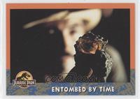 Entombed by Time