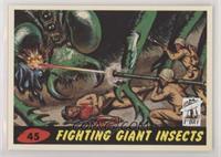 Fighting Giant Insects