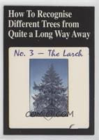 How To Recognise Different Trees…