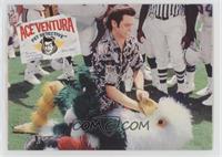 Ace Ventura: Pet Detective - Grab that Bird!