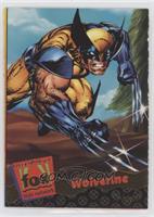 Wolverine [EX to NM]