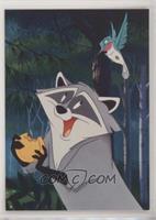 Meeko and Flit, Forest Friends