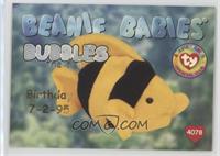 Birthday or Rookie - Bubbles the Fish