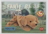 Birthday or Rookie - Fetch the Golden Retriever