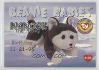 Birthday or Rookie - Nanook the Husky