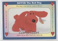 Rover The Red Dog
