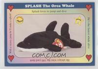 Splash The Orca Whale