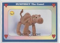 Humphrey The Camel