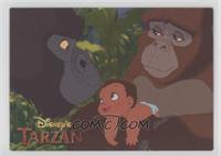 Special Scene - Kala, Kerchak, Tarzan