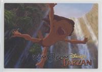 Special Scene - Tarzan