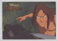 Special Scene - Kerchak, Tarzan