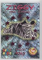 Wild Cards - Ziggy the Zebra #/7,200