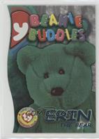 Babies & Buddies - Erin the Bear (Buddy)